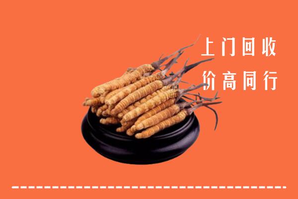 高价求购：鹤岗市向阳回收散虫草