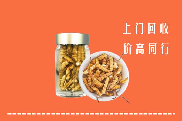 鹤岗市向阳回收冬虫夏草